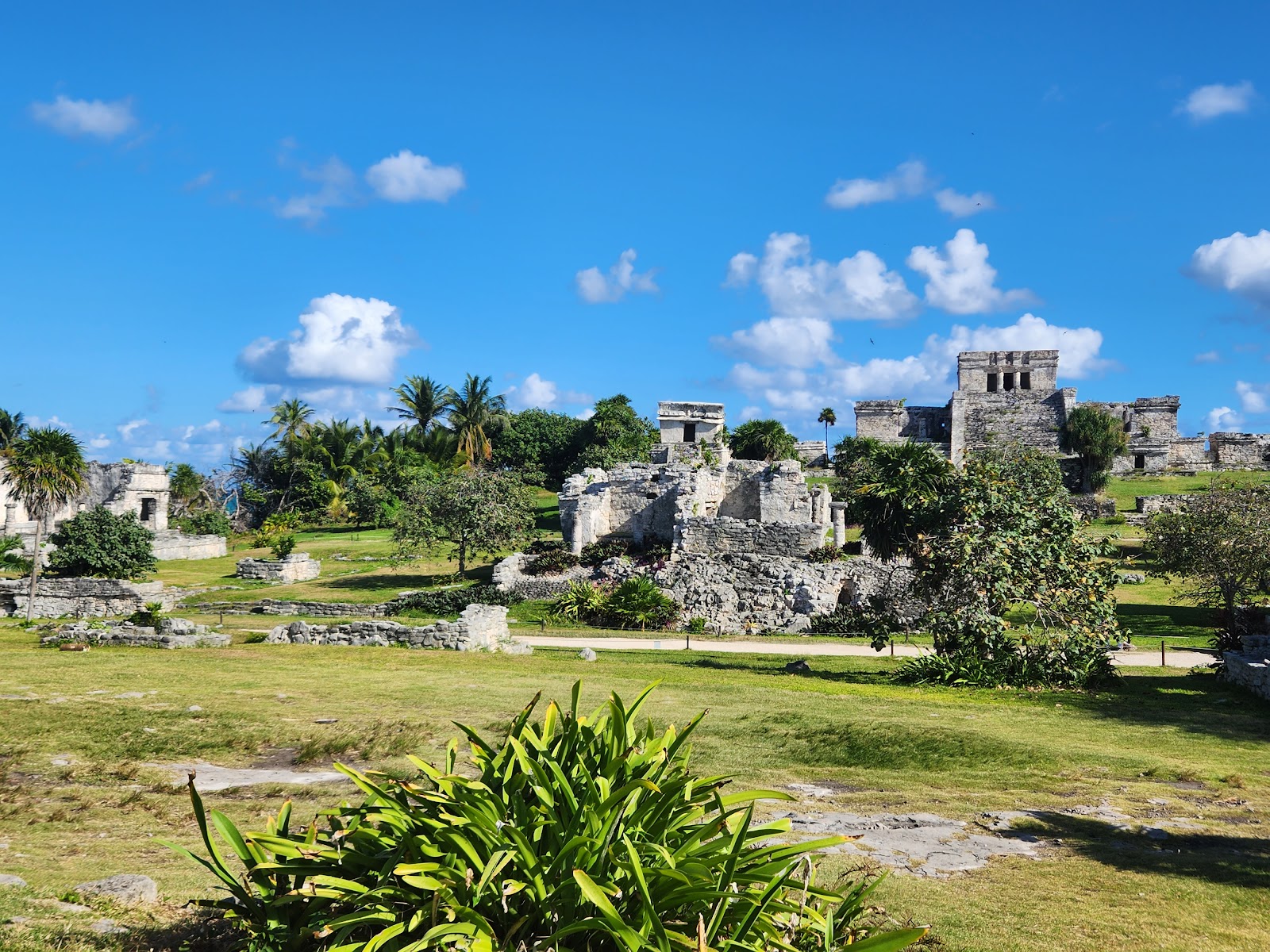 Vista del Parque Nacional Tulum: templos mayas y palmeras sobre la costa del Caribe